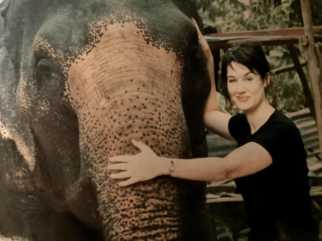 Education, Biomimicry and becoming better&nbsp;beings