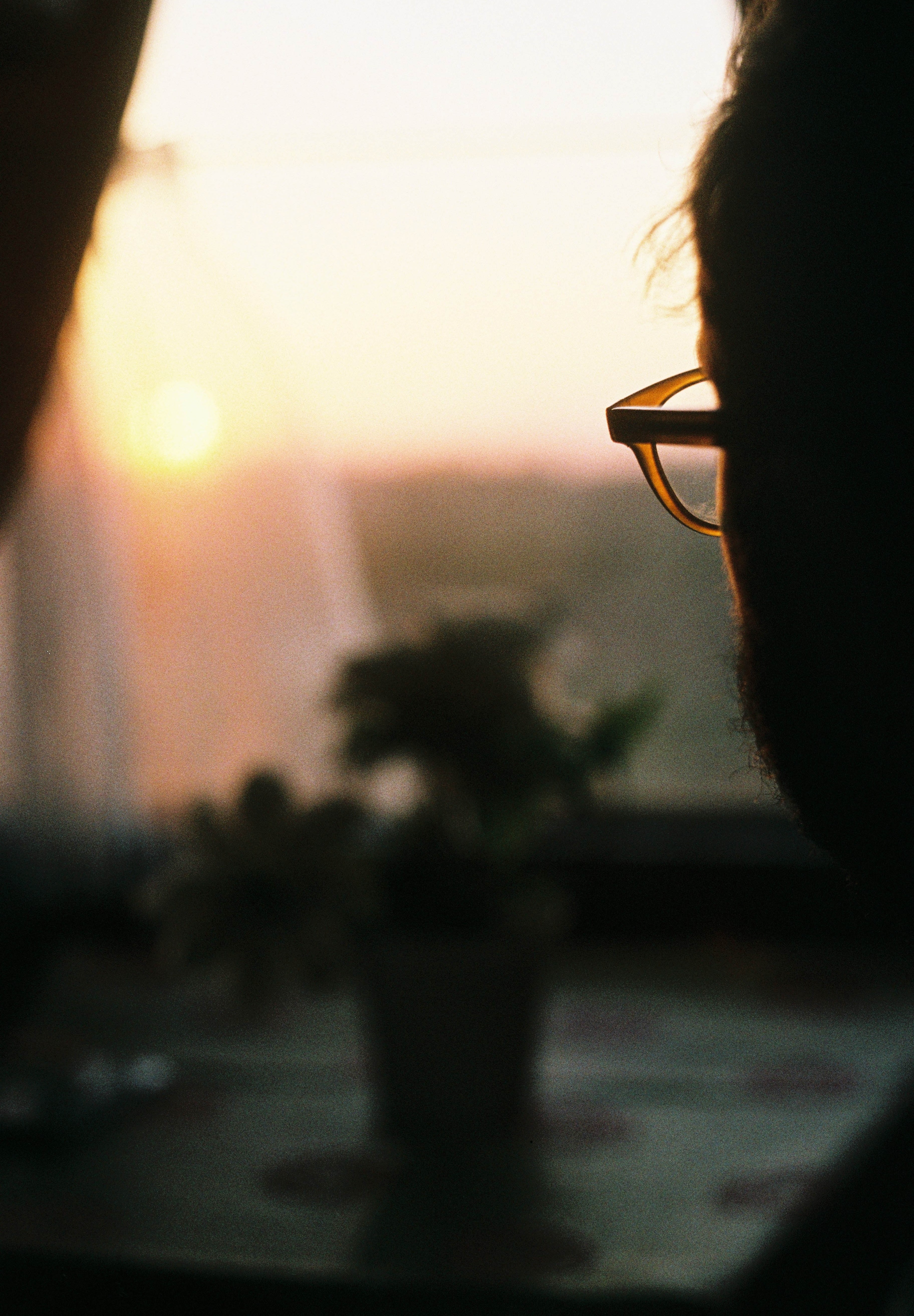 iulia-mihailov-aeWEX3jE0kg-unsplash2