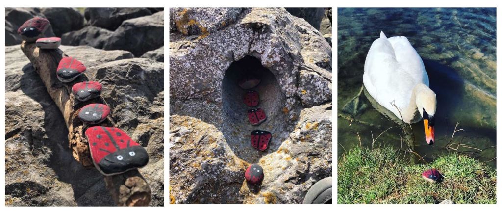 Magical birthday memories with&nbsp;nature