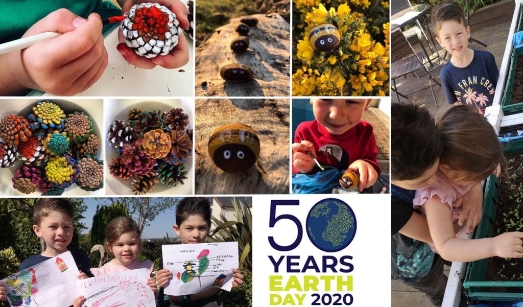 Sustainability seeds in the&nbsp;home