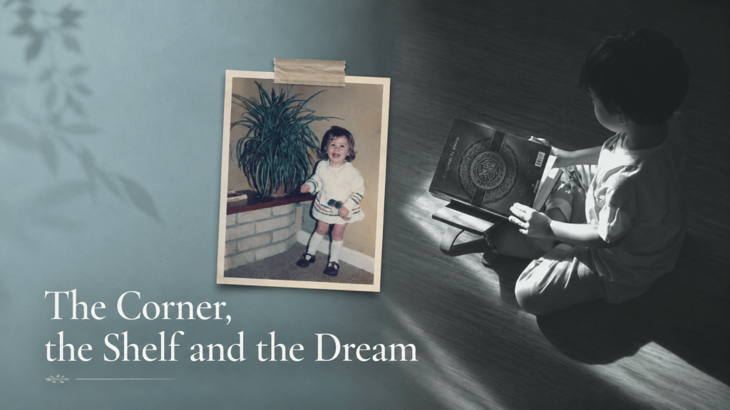The Corner, The Shelf and the Dream